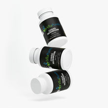 Chaga Mushroom