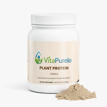 Plant Protein (Vanilla)