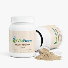 Plant Protein (Vanilla)