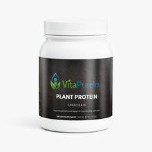 Plant Protein (Chocolate)